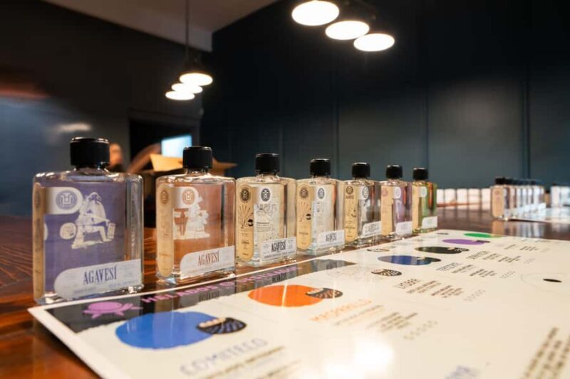 Mezcal & Agave Spirits Ice Cream Pairing Mexico City - An In-Depth Look at the Mezcal & Agave Spirits Ice Cream Pairing Experience