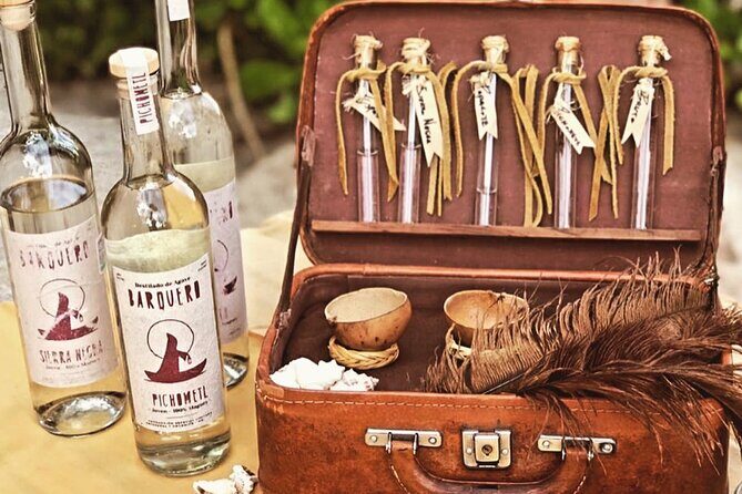 Mezcal Artisan Tasting with Tapas in Tulum - What Travelers Say (from available reviews and info)