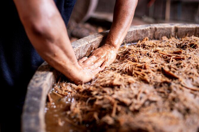 Mezcal Artisan Tasting with Tapas in Tulum - Who Should Consider This Tour?