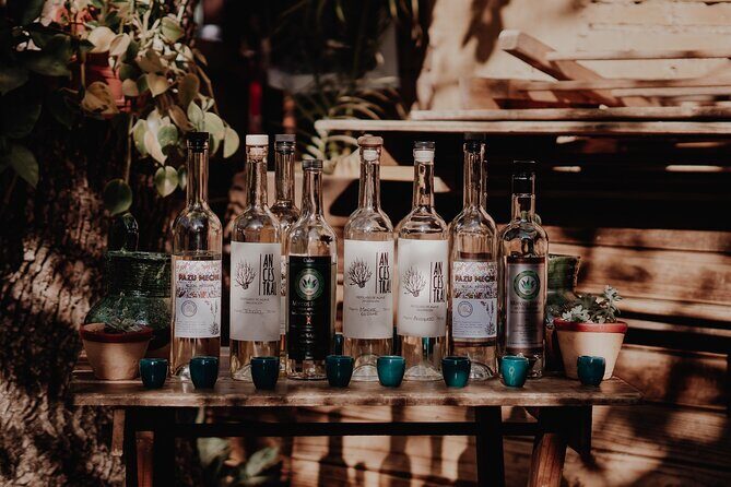 Mezcal & Mole by a Certified Sommelier - Who Will Love This Tour?