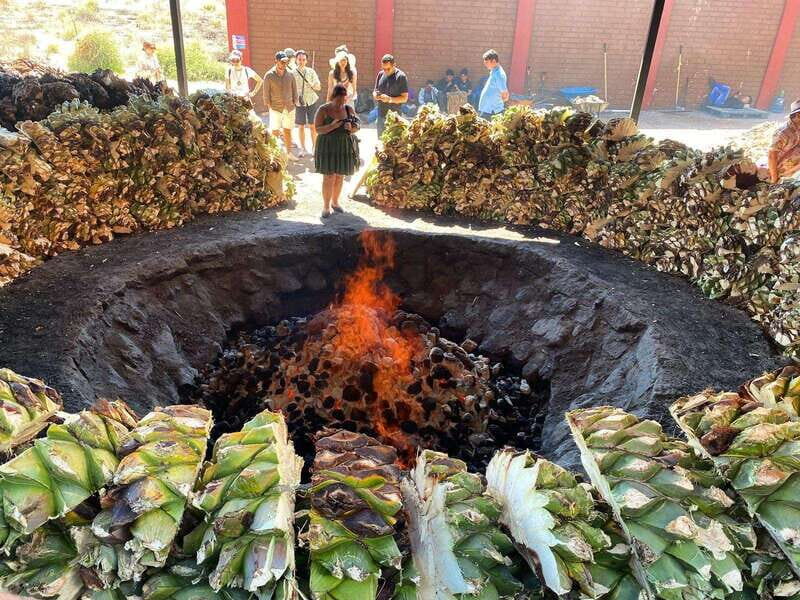 Mezcal Tour Oaxaca - Key Points