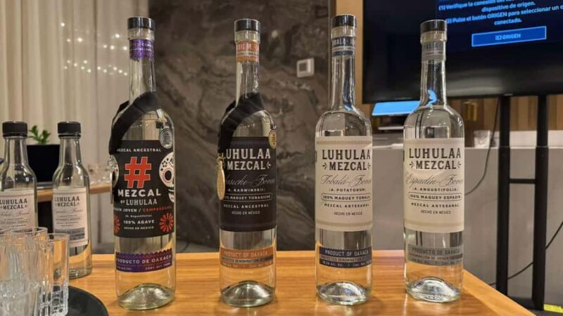 Mezcales tradicionales: Experiencia de Sabores con Historia - Key Points