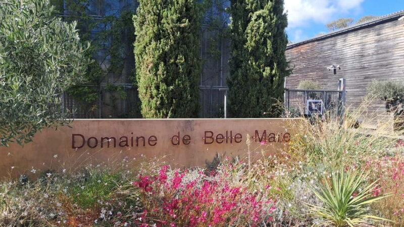 Mèze: Guided Tour of the Estate & Wine Tasting - Exploring the Charm of Mèze’s Winery: A Guide to the Guided Tour & Wine Tasting