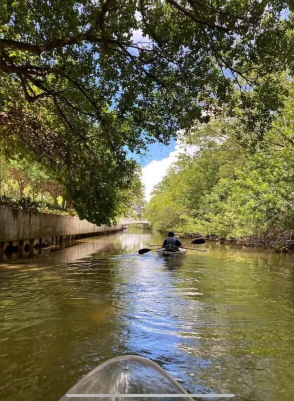 Miami Beach: Clear Kayak Tour or LED Glow Kayak Experience - Key Points