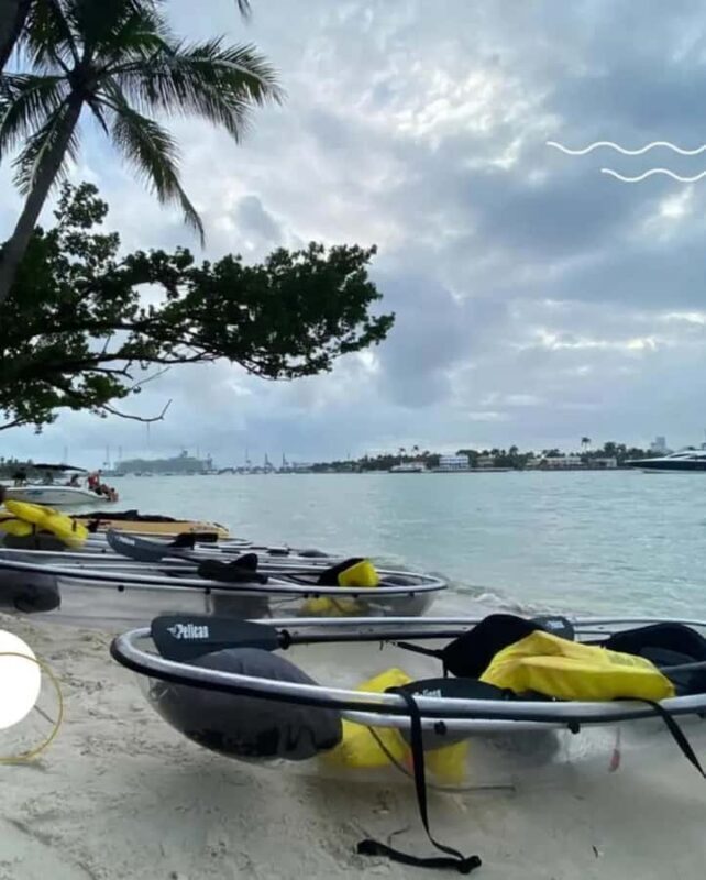 Miami Beach: Clear Kayak Tour or LED Glow Kayak Experience - Authentic Experiences and Real Traveler Feedback