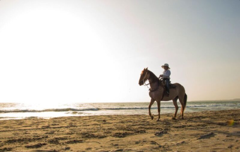 Miami: Beach Horse Ride & Nature Trail - Starting Point: The Ranch and Welcome