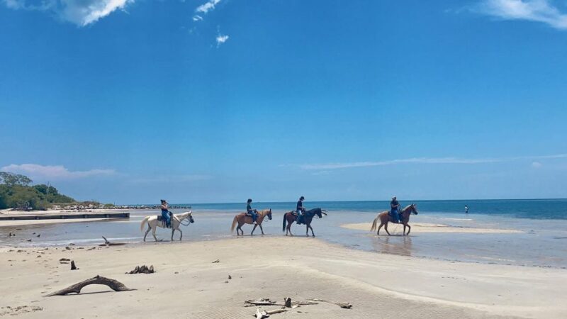 Miami: Beach Horse Ride & Nature Trail - The Nature Trail: History and Wildlife