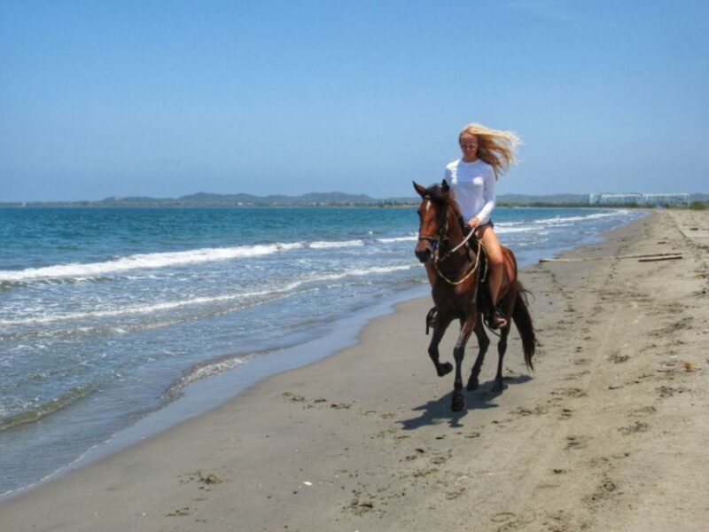 Miami: Beach Horse Ride & Nature Trail - Riding on the Beach: A Memorable Finale