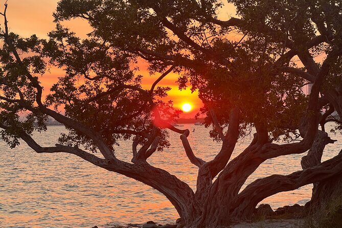 Miami Boat-Private boat Ride Tours with Experienced Captain - Final Thoughts