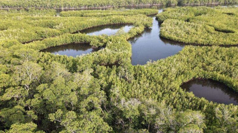 Miami: City Tour with Optional Cruise and Everglades Entry - FAQ