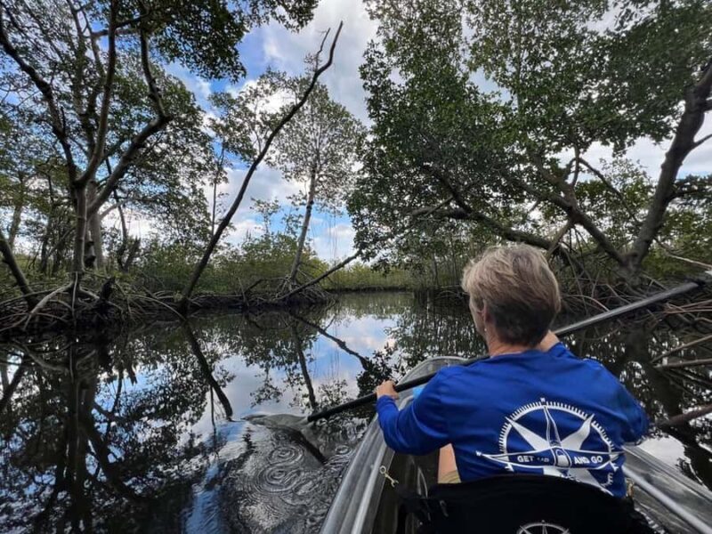 Miami: Clear Kayak Eco Tour with Guide and Wildlife - Key Points