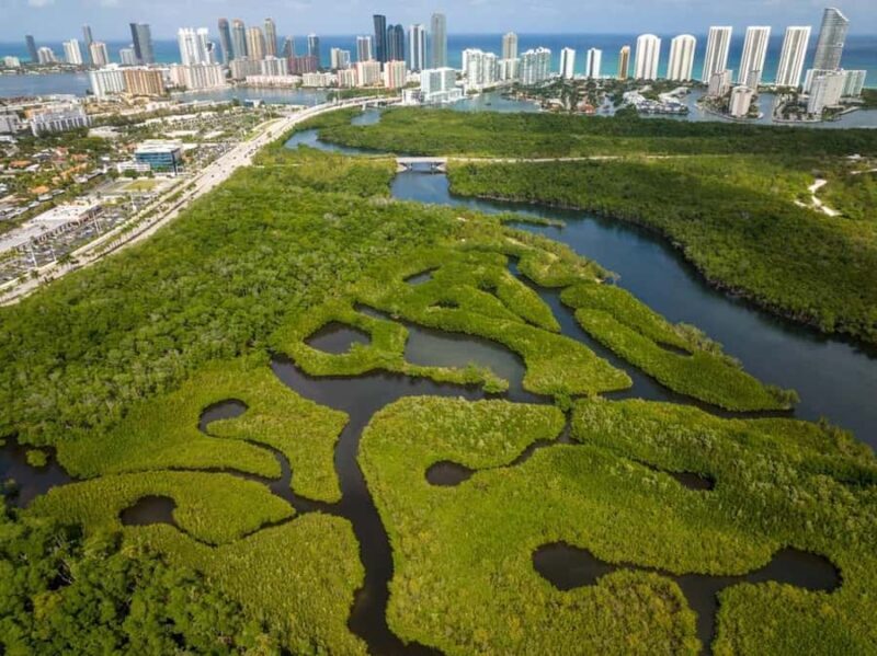 Miami: Clear Kayak Eco Tour with Guide and Wildlife - A Close Look at the Experience