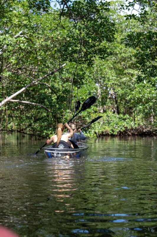 Miami: Clear Kayak Eco Tour with Guide and Wildlife - FAQ