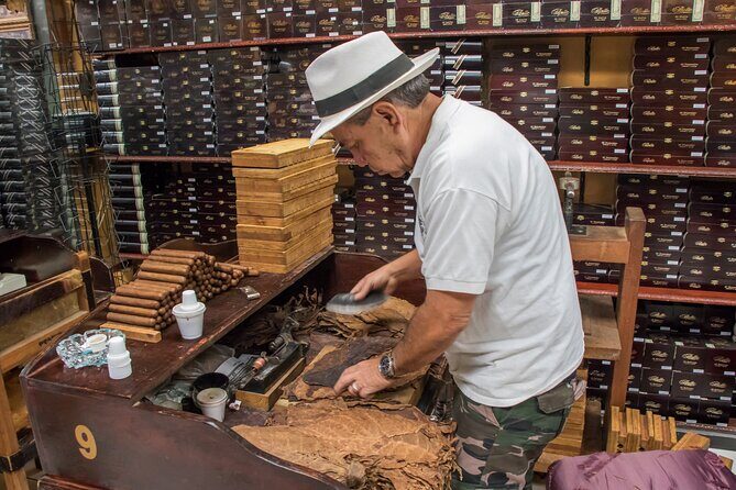 Miami Colors- City Tour with Round Trip Transportation Included - Final Thoughts