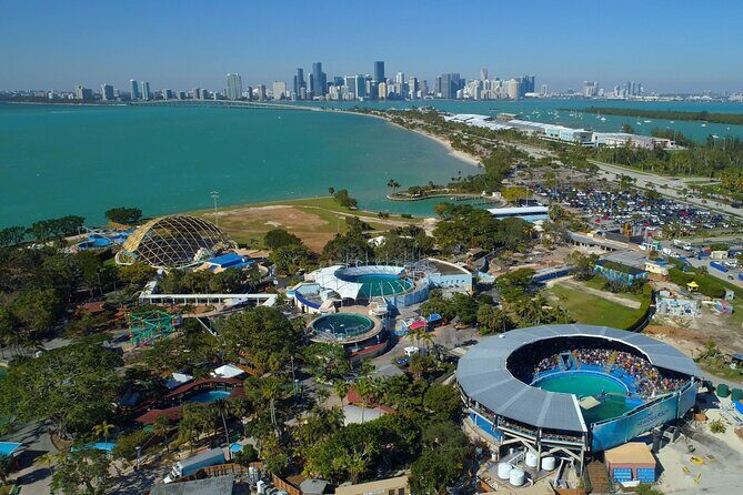 Miami Downtown Airplane Tour with Free drinks - Authentic Perspectives from Reviewers