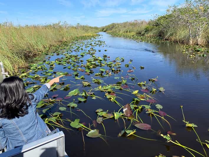 Miami: Everglades Airboat, Gator Experience with Transfer - An In-Depth Look at the Tour Experience