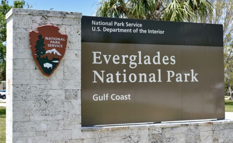 Miami: Everglades Airboat Ride and Tram Tour - Who is This Tour Best Suited For?