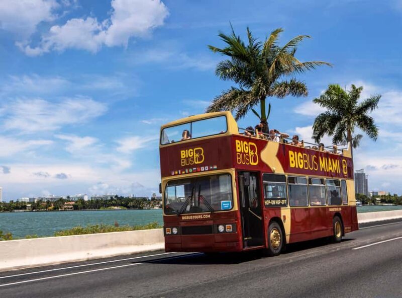 Miami: Everglades Experience, Bay Cruise & Open-Top Bus Tour - What We Like and What to Consider