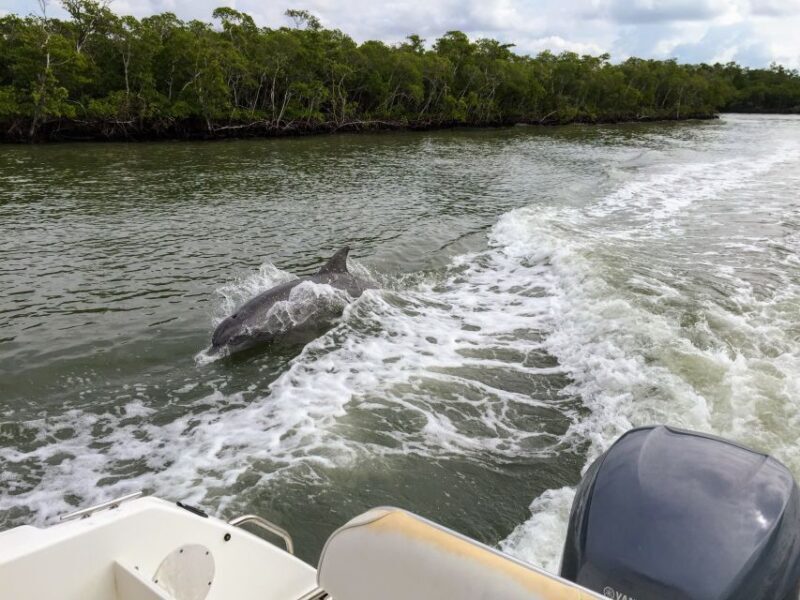 Miami: Everglades Full-Day Tour with 2 Boat Trips and Lunch - Starting Point: From City to Wilderness