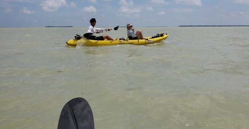 Miami: Everglades National Park Hiking and Kayaking Day Trip - Exploring the Everglades: What to Expect on the Day Trip
