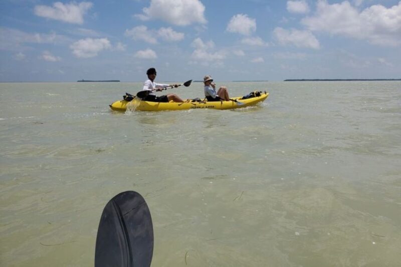Miami: Everglades National Park Hiking and Kayaking Day Trip - Analyzing the Value of the Tour