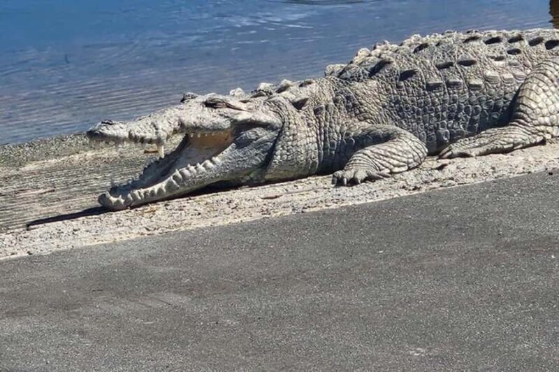 Miami: Everglades National Park Kayaking & Hiking Tour - Key Points