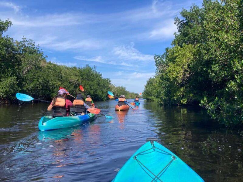 Miami: Everglades National Park Kayaking & Hiking Tour - An in-depth look at the Everglades kayaking and hiking tour