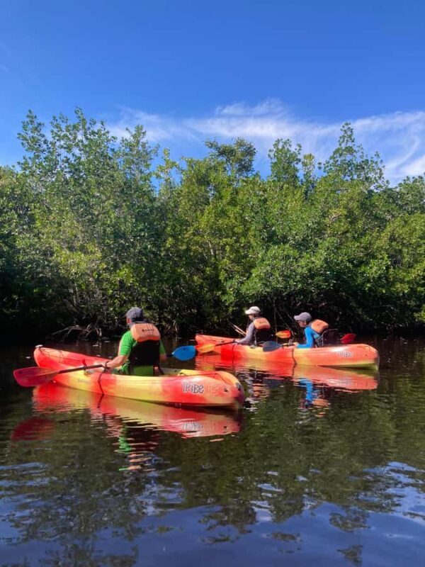 Miami: Everglades National Park Kayaking & Hiking Tour - Considerations and practical tips
