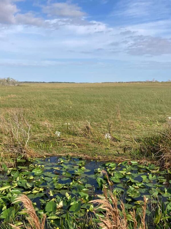 Miami: Everglades National Park Kayaking & Hiking Tour - Final thoughts on value