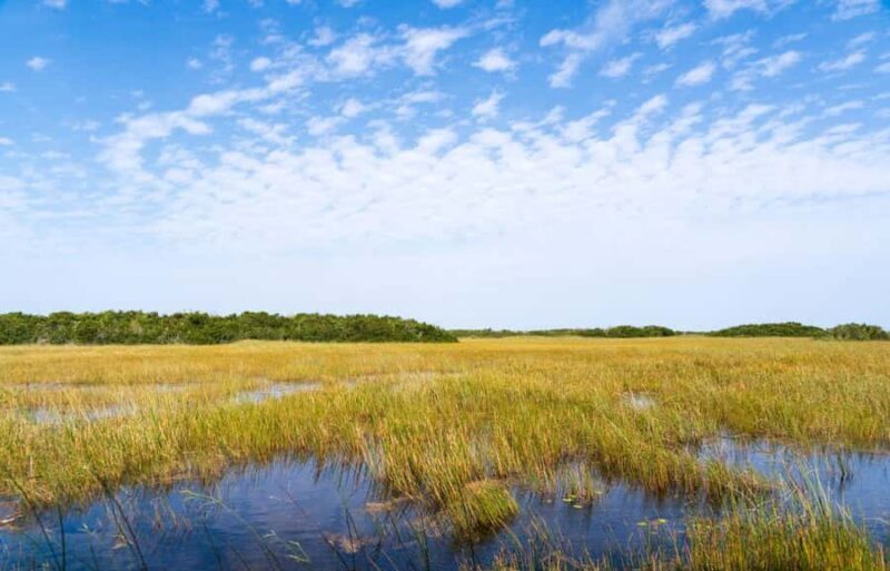 Miami: Everglades Private Tour - Miami: Everglades Private Tour — A Closer Look at Florida’s Wetland Wonder
