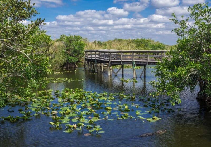 Miami: Everglades Private Tour - Key Points