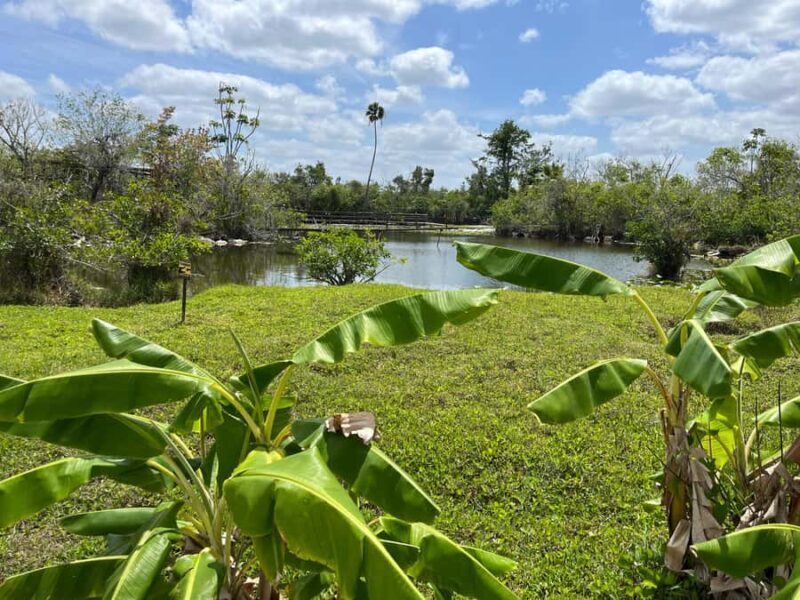 Miami: Everglades Small Group Tour in French - FAQs