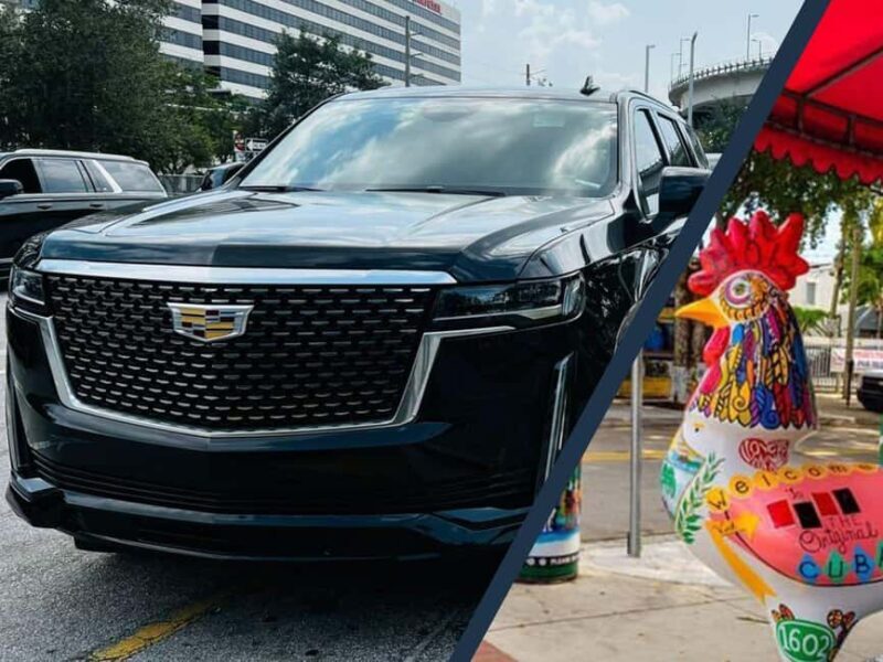 Miami: Explore Magic City in Style  2-Hour VIP Tour - An In-Depth Look at the Miami VIP Tour