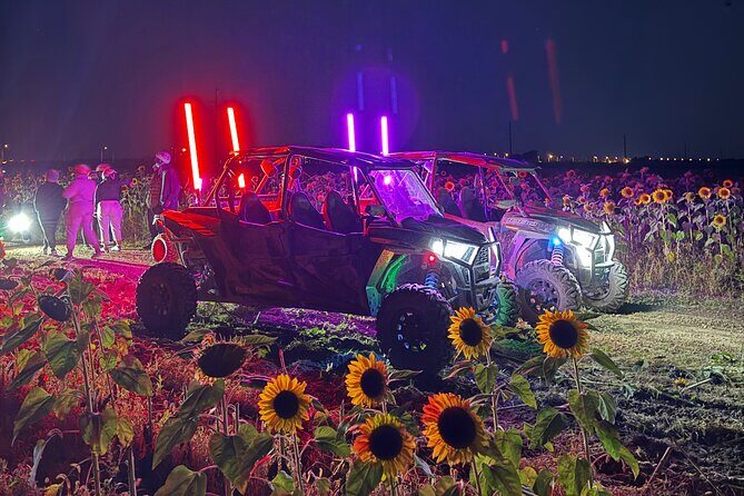Miami Extreme Buggy UTV Glow in the Dark Ride - Miami Extreme Buggy UTV Glow in the Dark Ride: A Complete Review