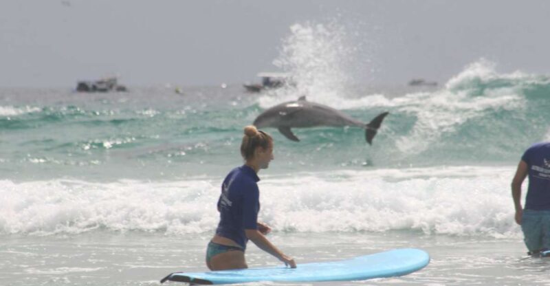 Miami: Group Surf Lesson - Key Points