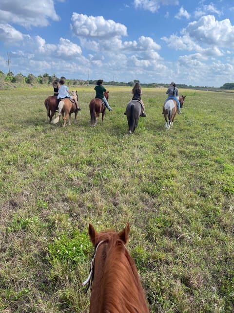 Miami: Guided Horseback Riding Tour - Final Thoughts