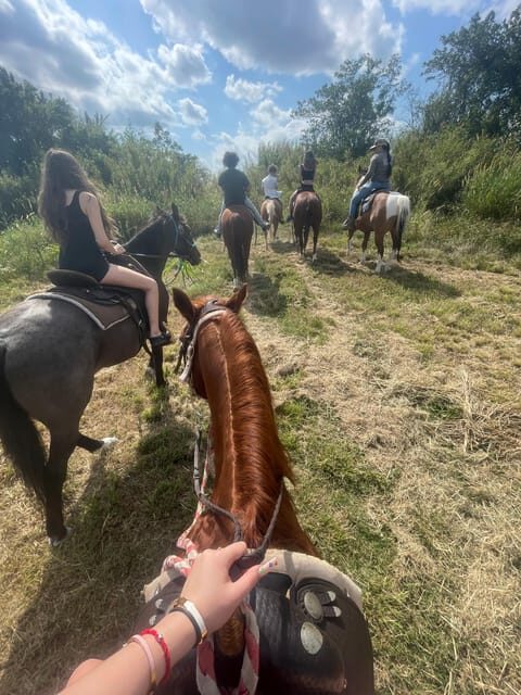 Miami: Guided Horseback Riding Tour - FAQs