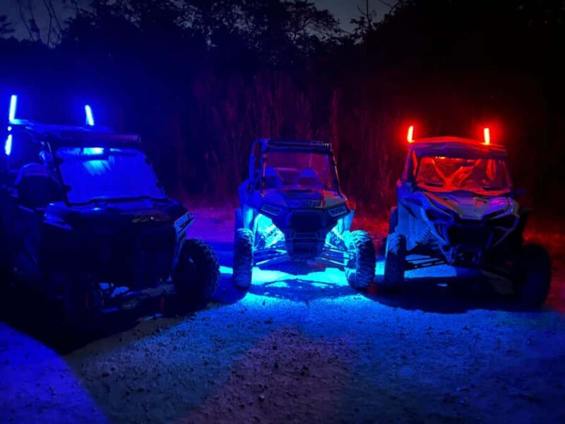 Miami: Guided Off-Road Buggy Tour with Photos & Videos - The Value of the Experience