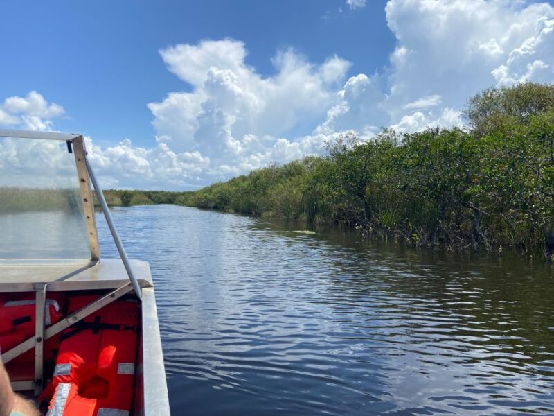 Miami: Half-Day Everglades Tour - The Sum Up