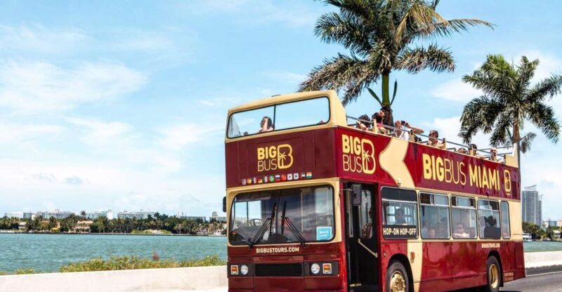 Miami: Hop-on Hop-off Open-top Bus Tour and Optional Cruise - Key Points