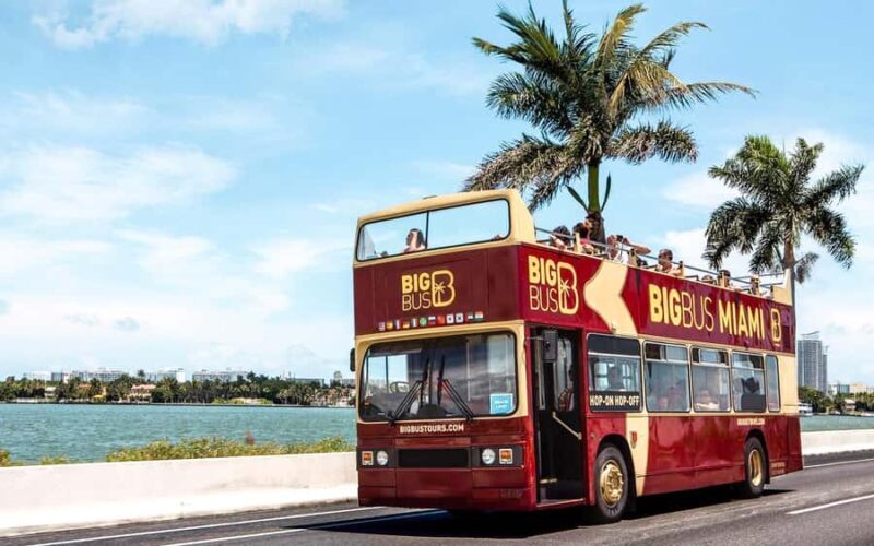 Miami: Hop-on Hop-off Open-top Bus Tour with Optional Cruise - A Deep Dive into the Miami Hop-on Hop-off Experience