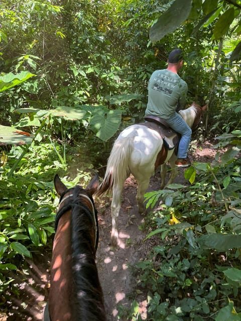 Miami: Horseback Riding in South Beach - Who Should Consider This Tour?