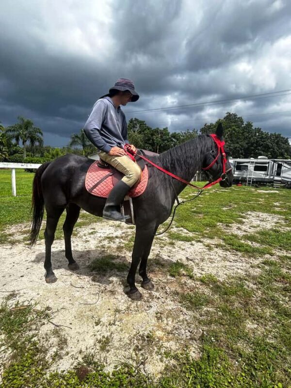 Miami: Horseback Riding Tour with Instructor - A Deep Dive into the Horseback Riding Experience
