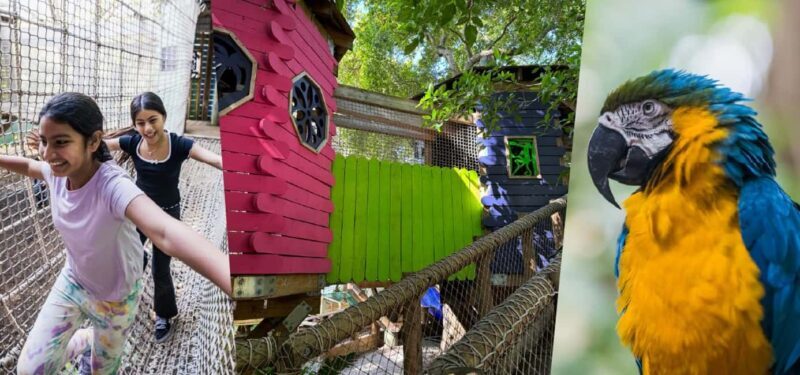 Miami: Jungle Island General Admission - Key Points