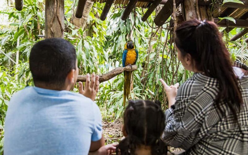 Miami: Jungle Island General Admission - Who Should Consider Jungle Island?