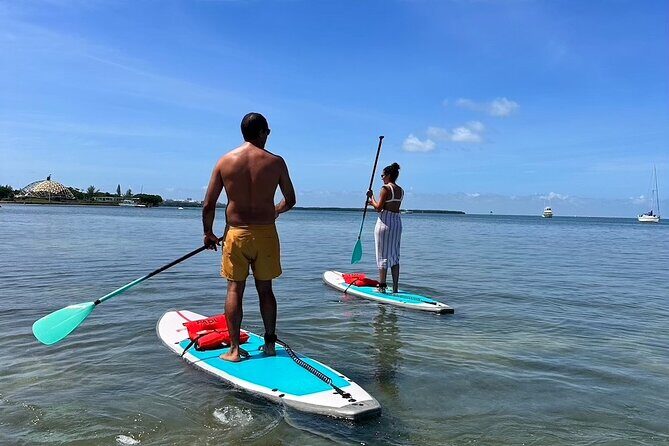 Miami Kayak and Paddleboard Rentals on Biscayne Bay - Key Points