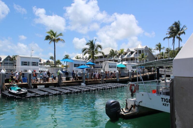 Miami: Key West Boat Tour w/ Optional Snorkeling & Open Bar - What’s Included and What to Keep in Mind
