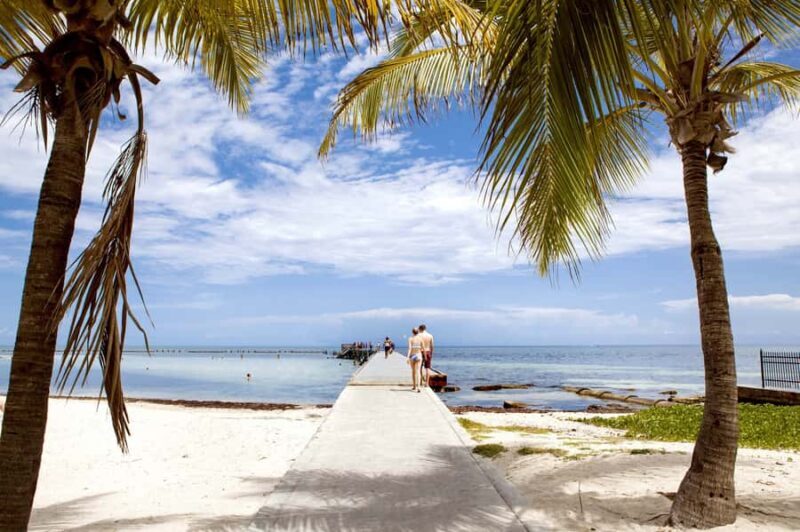 Miami: Key West Day Tour by Bus with Optional Activities - An In-Depth Look at the Tour Experience