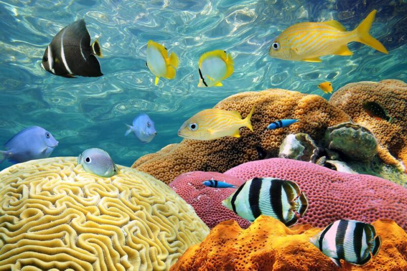 Miami: Key West Day Trip with pickup and boating options - Final Thoughts: Is It Worth It?