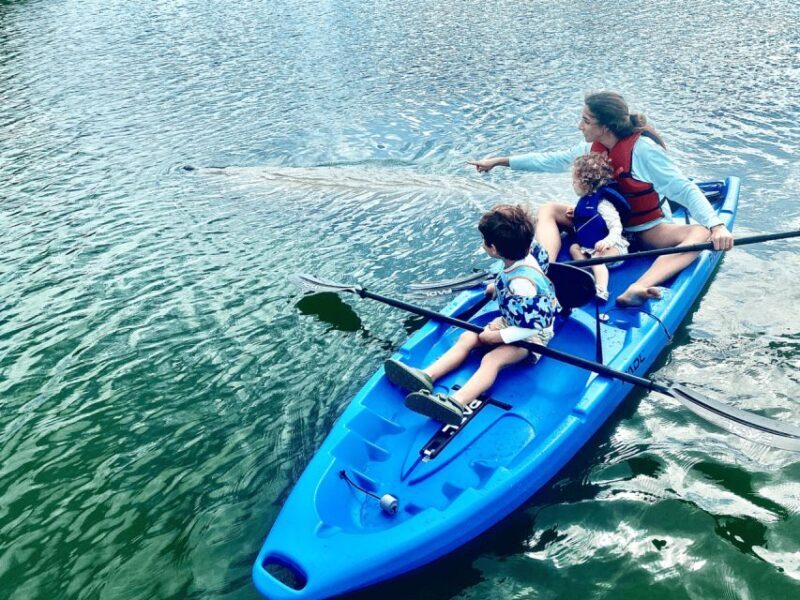Miami: Manatee Season Paddleboard or Kayak Tour - A Deeper Look at the Miami Manatee Season Paddleboard or Kayak Tour